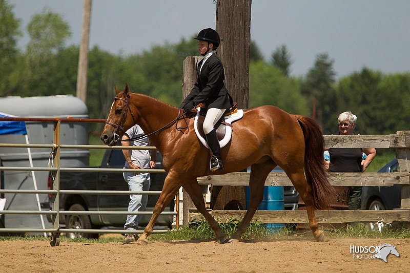 4H-2nd-Show-11_1341.jpg