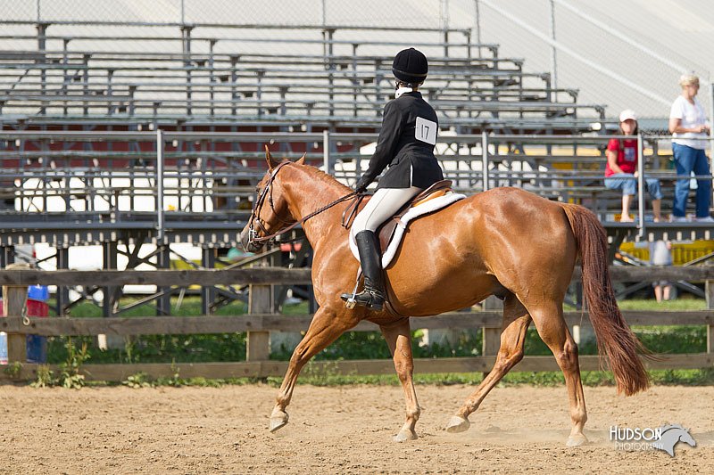 4H-2nd-Show-11_1949.jpg