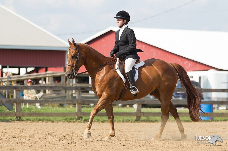 4H-2nd-Show-11_1950.jpg