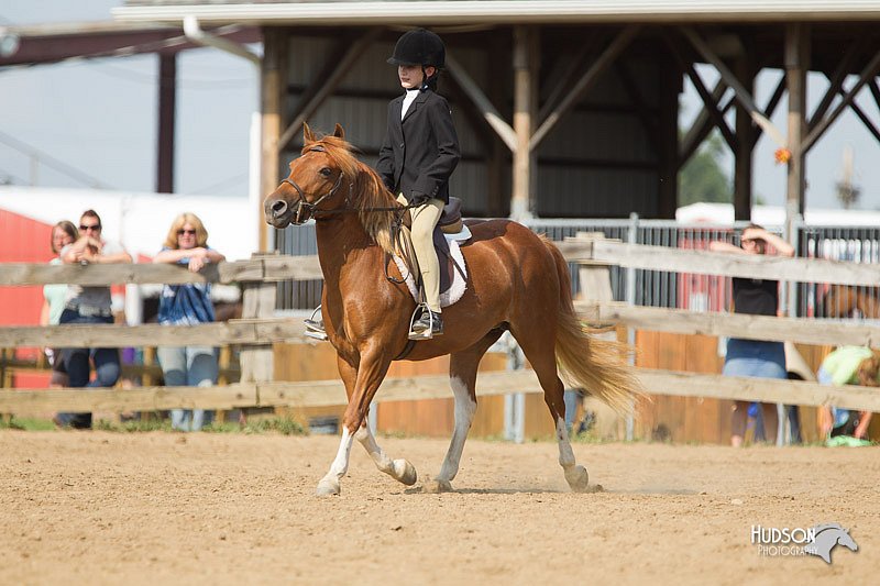 4H-2nd-Show-11_1952.jpg