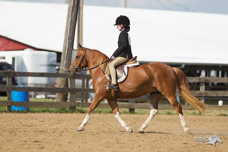 4H-2nd-Show-11_1953.jpg