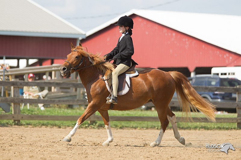 4H-2nd-Show-11_1954.jpg