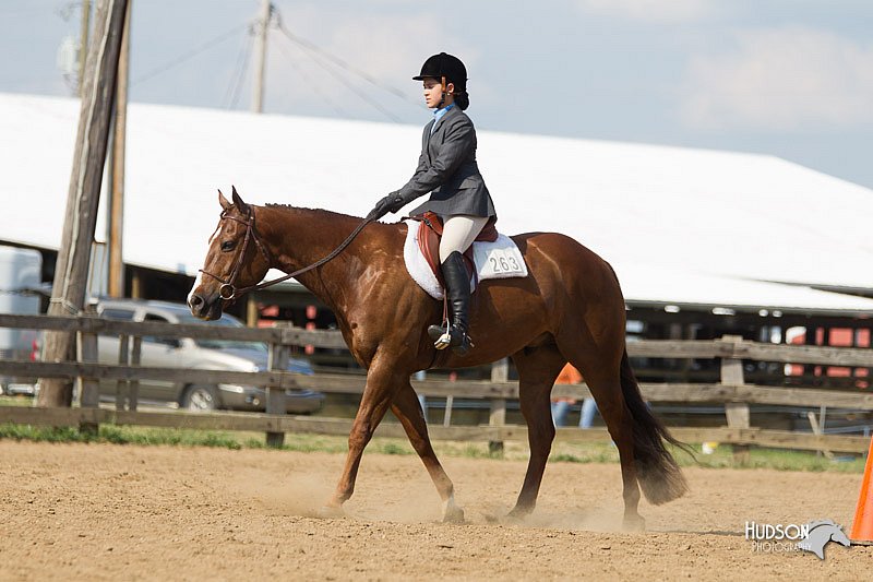 4H-2nd-Show-11_1957.jpg