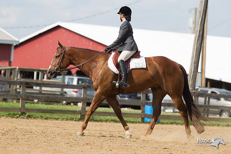 4H-2nd-Show-11_1958.jpg