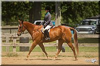 4H-2nd-Show-11_1292.jpg