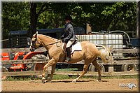 4H-2nd-Show-11_1298.jpg