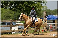 4H-2nd-Show-11_1300.jpg