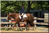 4H-2nd-Show-11_1319.jpg