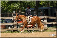 4H-2nd-Show-11_1325.jpg