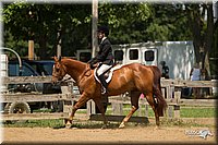 4H-2nd-Show-11_1340.jpg