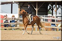 4H-2nd-Show-11_1952.jpg