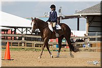 4H-2nd-Show-11_1968.jpg