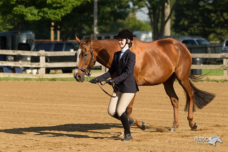 4H-2nd-Show-11_0791.jpg