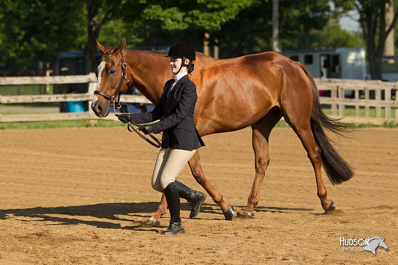 4H-2nd-Show-11_0792.jpg