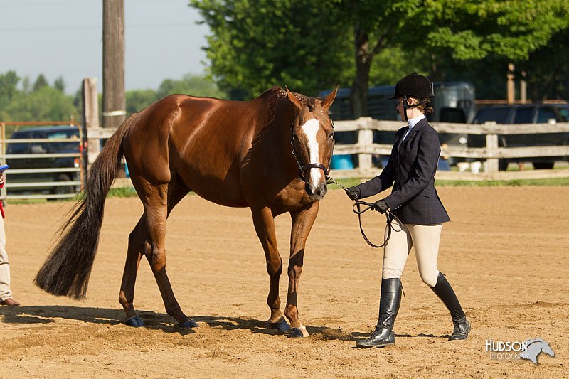 4H-2nd-Show-11_0793.jpg