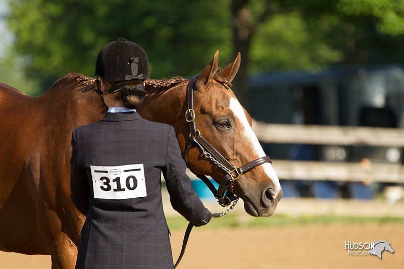 4H-2nd-Show-11_0796.jpg