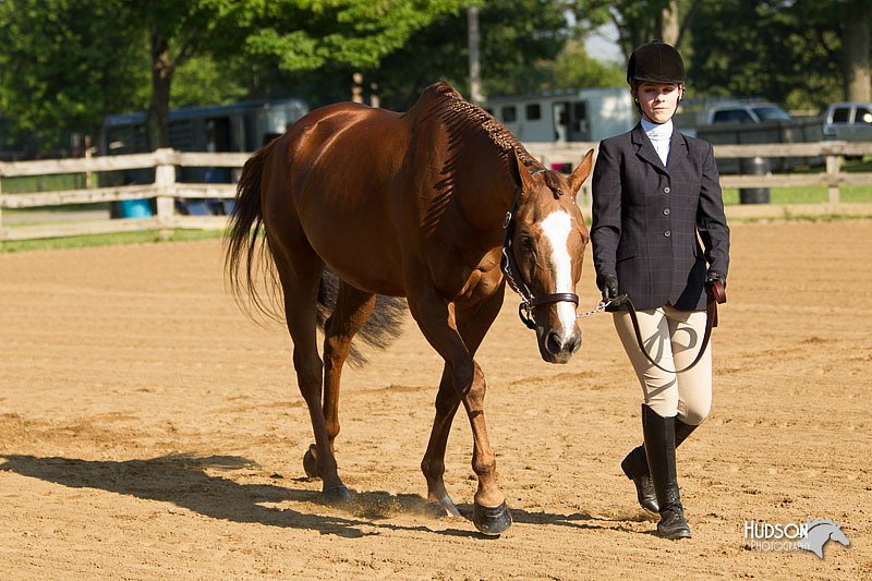 4H-2nd-Show-11_0797.jpg