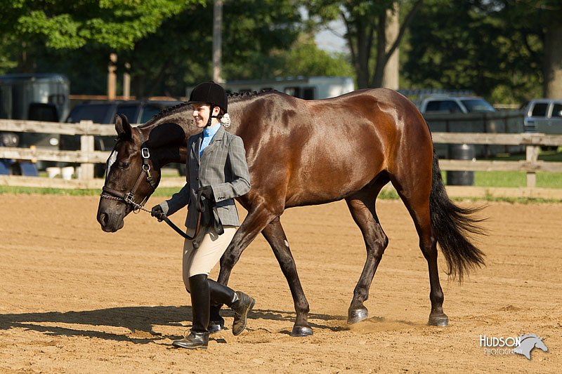 4H-2nd-Show-11_0804.jpg