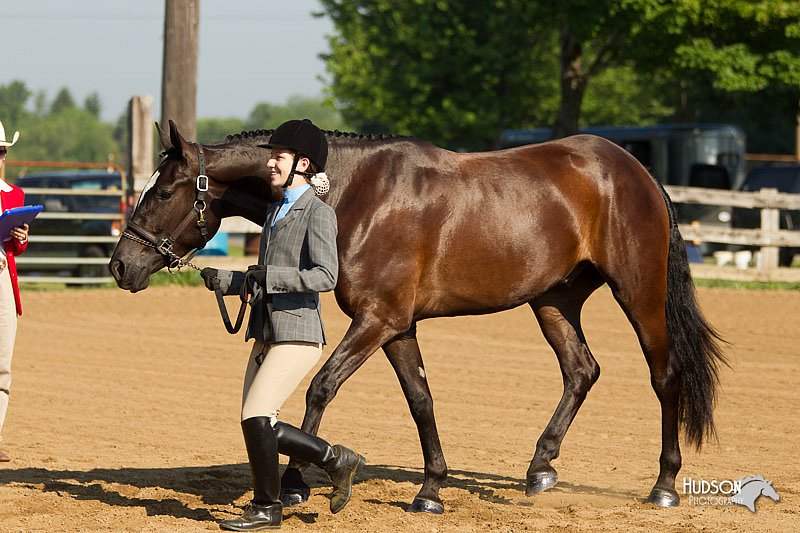 4H-2nd-Show-11_0805.jpg