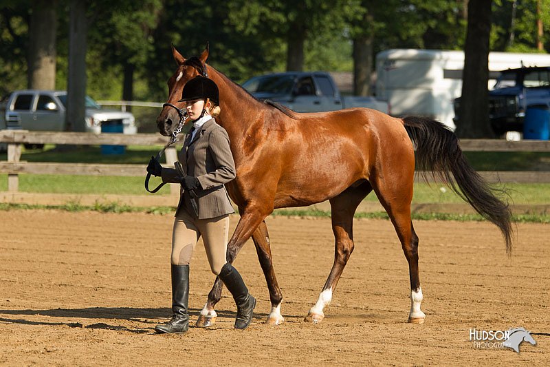 4H-2nd-Show-11_0814.jpg