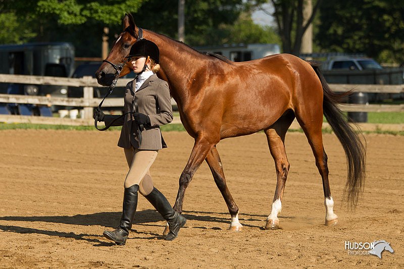 4H-2nd-Show-11_0816.jpg