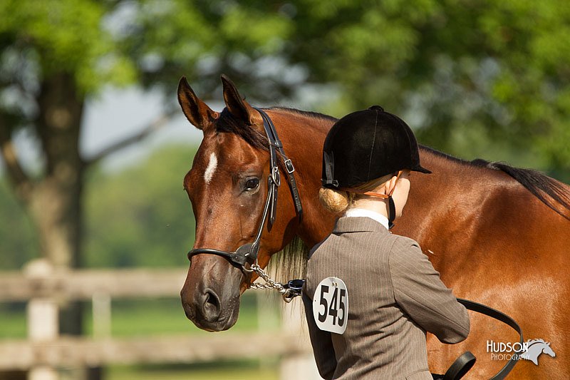 4H-2nd-Show-11_0817.jpg