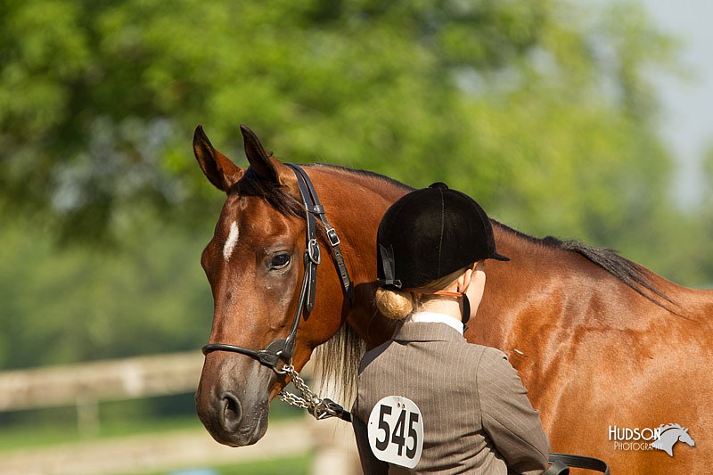 4H-2nd-Show-11_0818.jpg