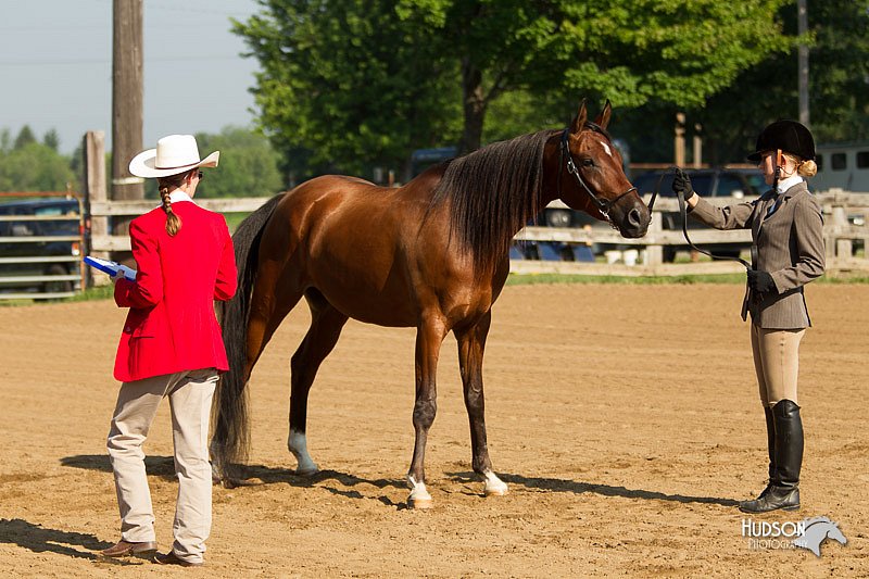 4H-2nd-Show-11_0819.jpg