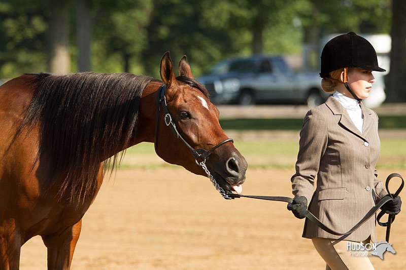 4H-2nd-Show-11_0822.jpg