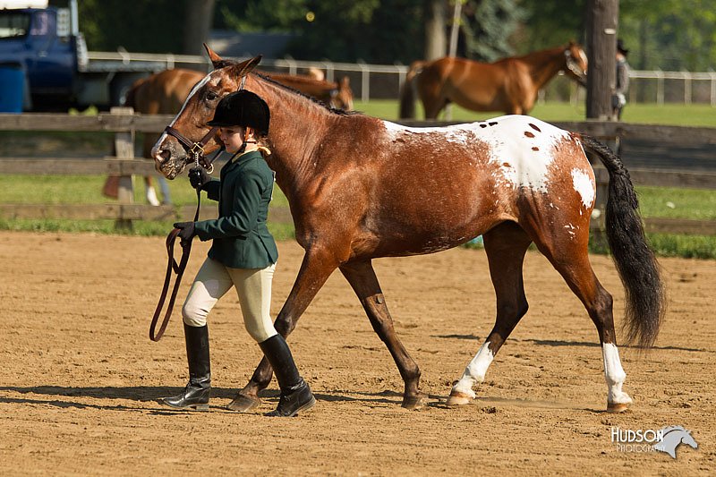 4H-2nd-Show-11_0825.jpg