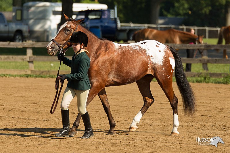 4H-2nd-Show-11_0826.jpg