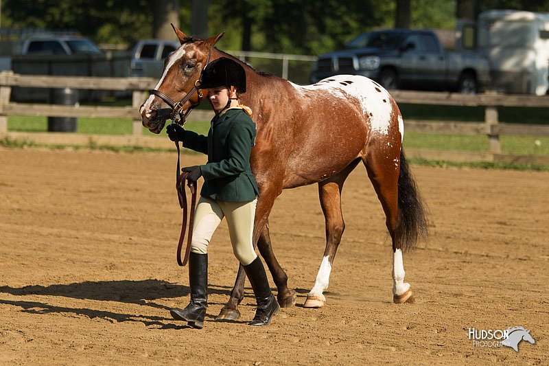 4H-2nd-Show-11_0827.jpg