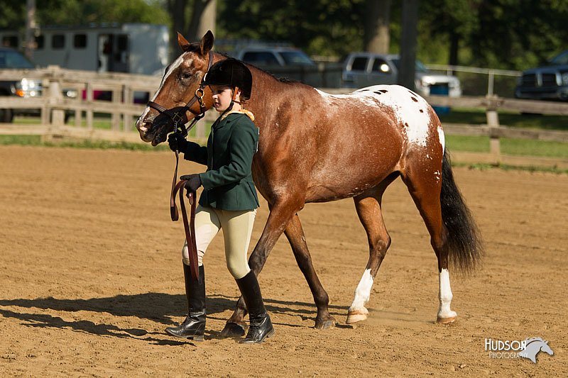 4H-2nd-Show-11_0828.jpg