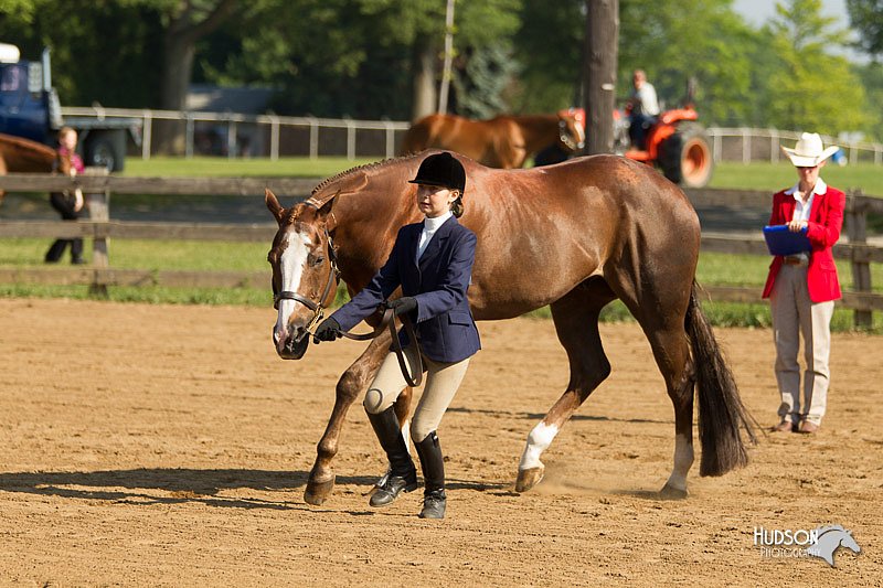 4H-2nd-Show-11_0829.jpg