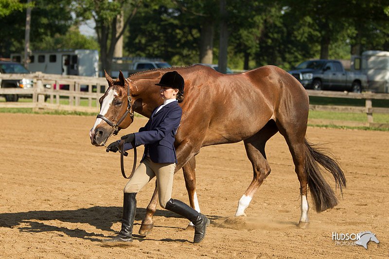 4H-2nd-Show-11_0831.jpg