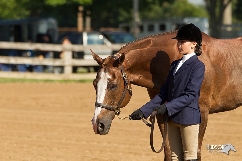 4H-2nd-Show-11_0832.jpg