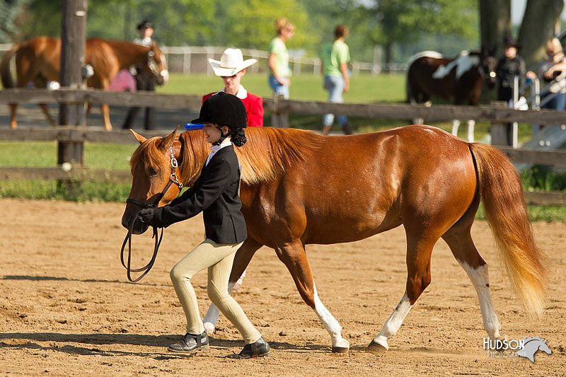 4H-2nd-Show-11_0833.jpg