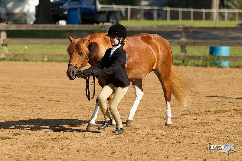 4H-2nd-Show-11_0834.jpg