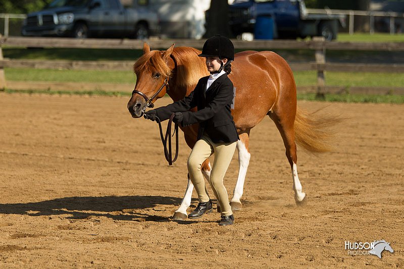 4H-2nd-Show-11_0835.jpg