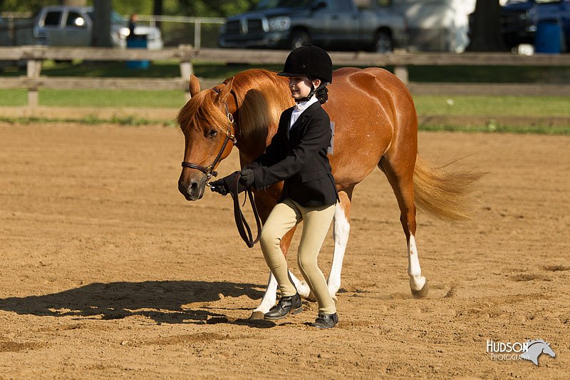 4H-2nd-Show-11_0836.jpg