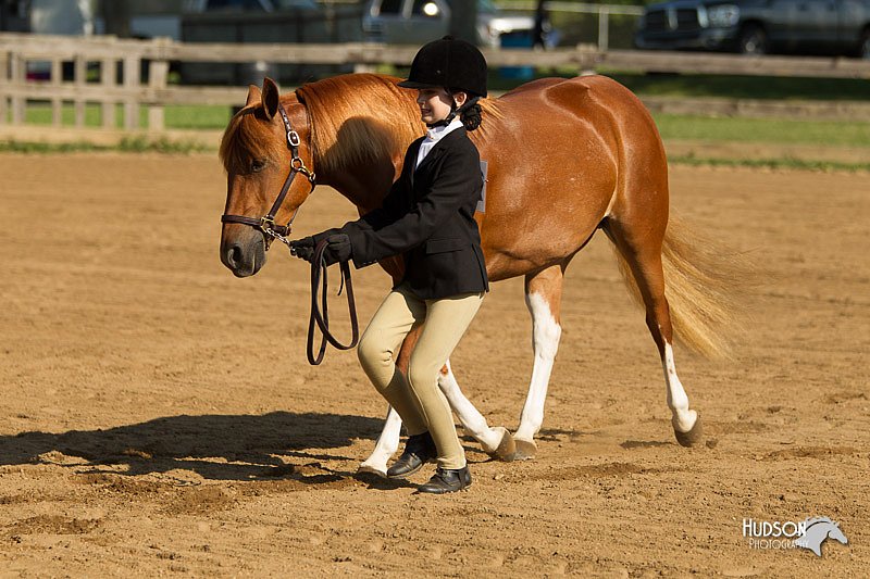 4H-2nd-Show-11_0837.jpg