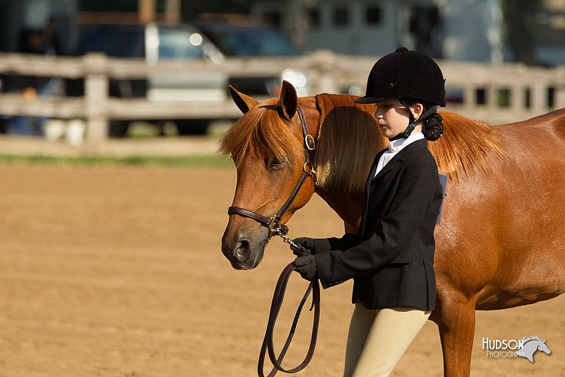 4H-2nd-Show-11_0838.jpg