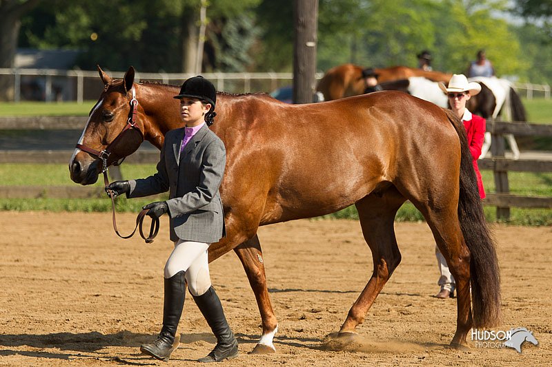 4H-2nd-Show-11_0839.jpg