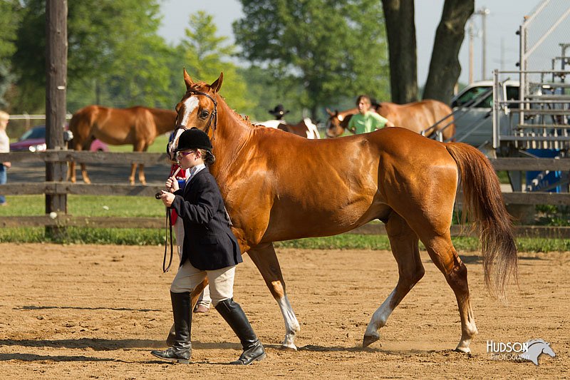 4H-2nd-Show-11_0844.jpg