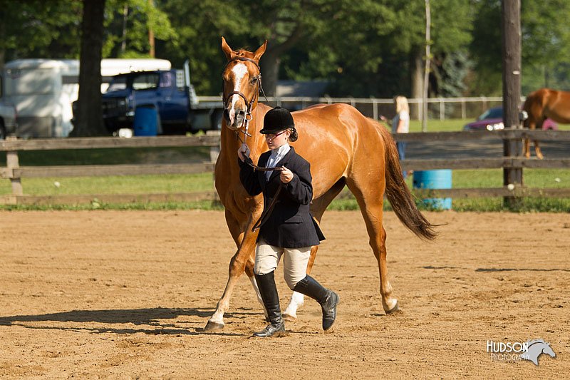 4H-2nd-Show-11_0846.jpg