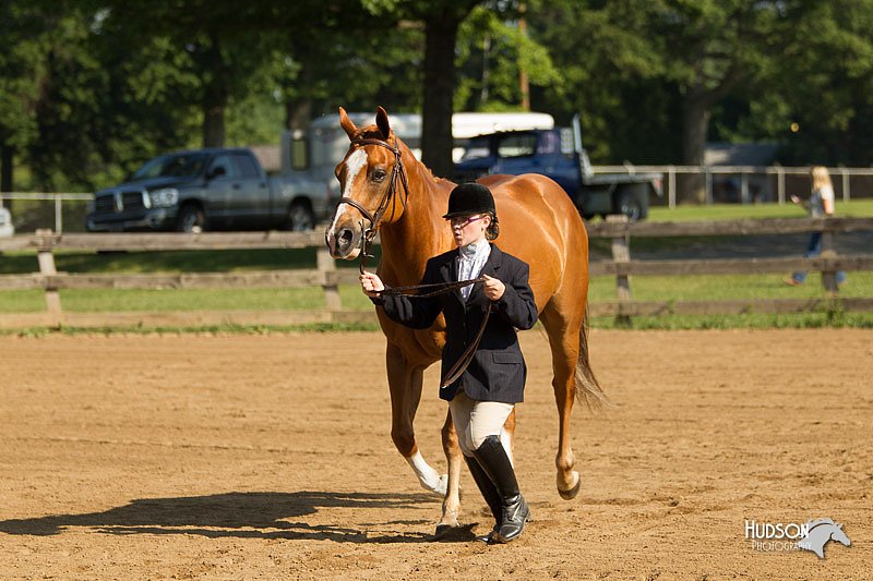 4H-2nd-Show-11_0847.jpg