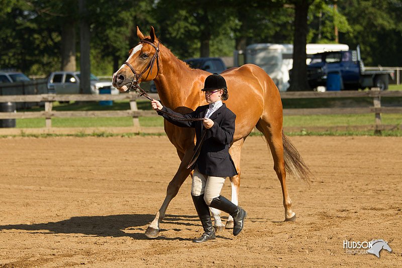 4H-2nd-Show-11_0848.jpg