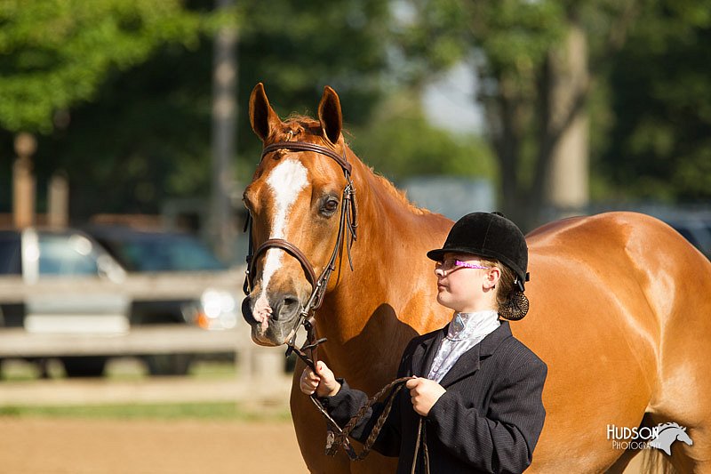 4H-2nd-Show-11_0849.jpg