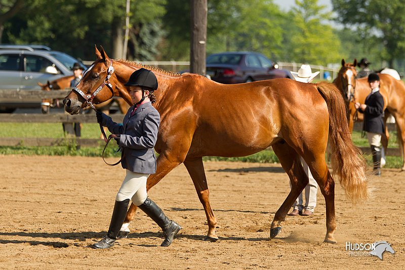 4H-2nd-Show-11_0850.jpg