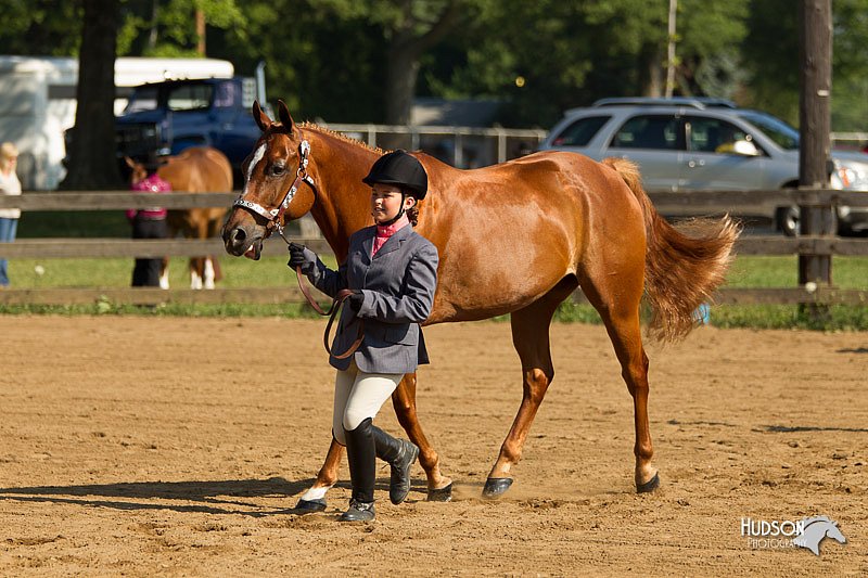 4H-2nd-Show-11_0851.jpg